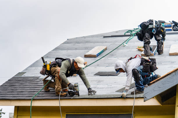Professional Roofing technician working in Mchenry, ND